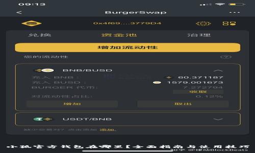 小狐官方钱包在哪里？全面指南与使用技巧