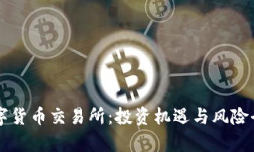 中国数字货币交易所：投资机遇与风险全面解析