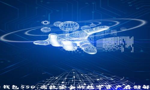
以太坊钱包SSD：高效安全的数字资产存储解决方案