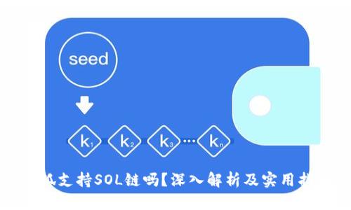 小狐支持SOL链吗？深入解析及实用指南
